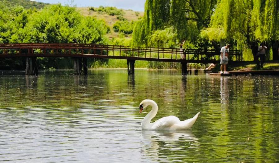 Charming House Apartamento Pogradec Exterior foto